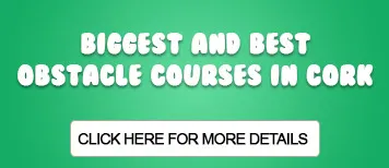 Large Bouncing Castle Kinsale Obstacle Course Hire